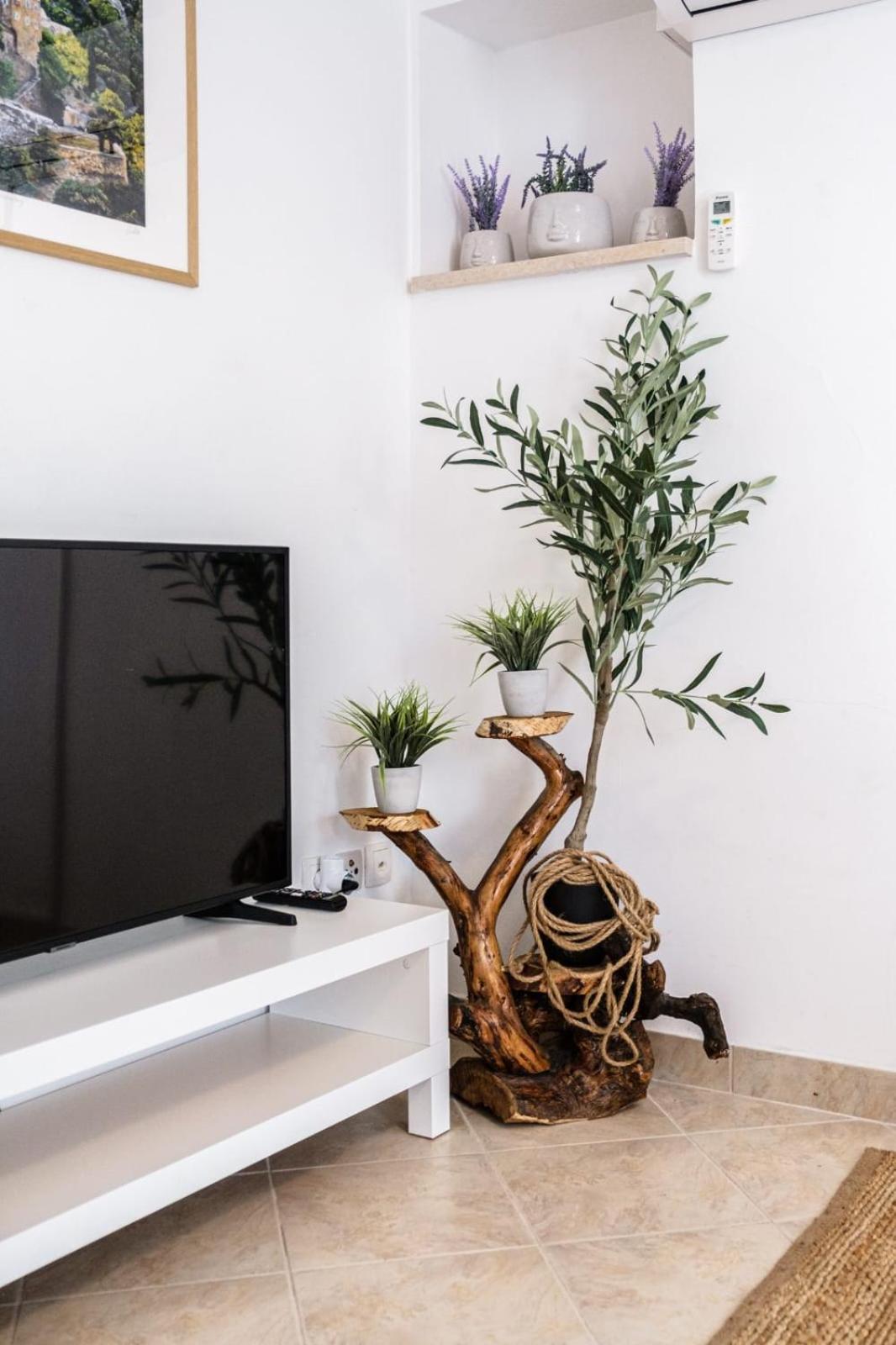 Apartment P&s